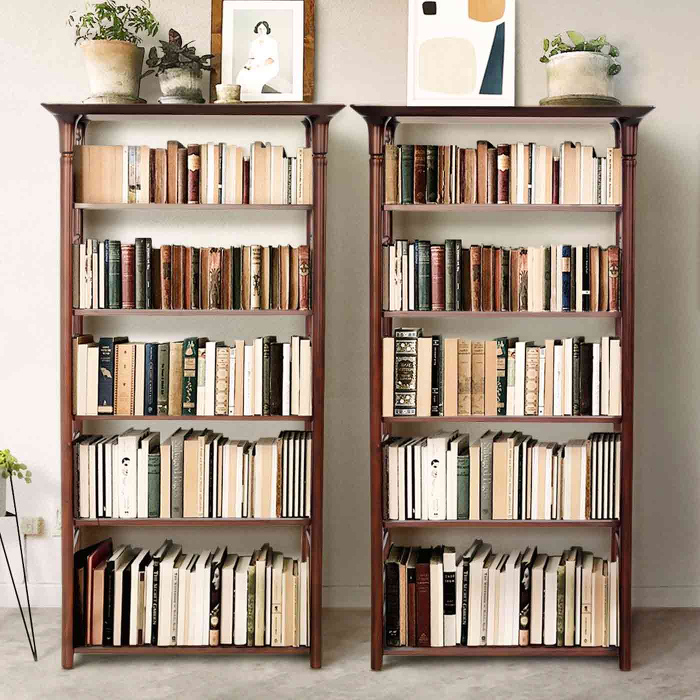 Sonargaon Shelf