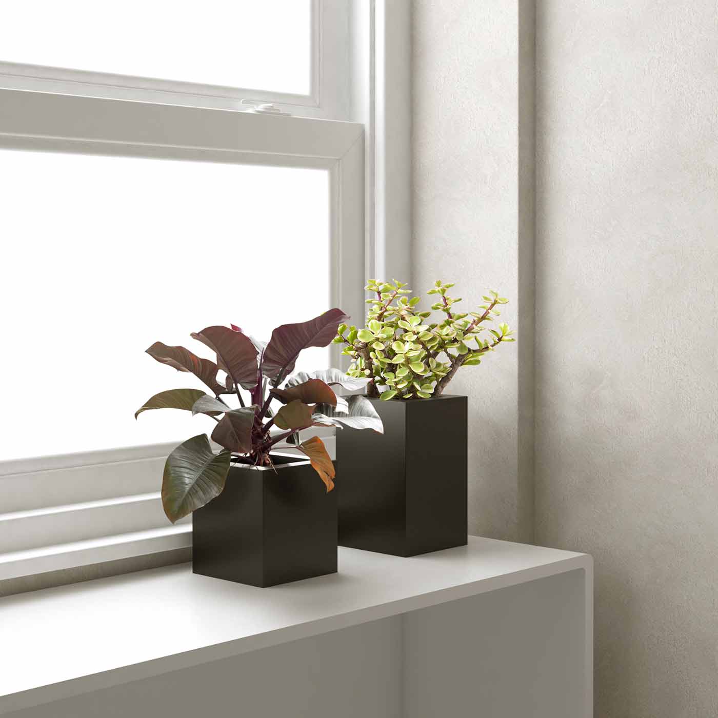 Muko Tall Planter (Clearance)