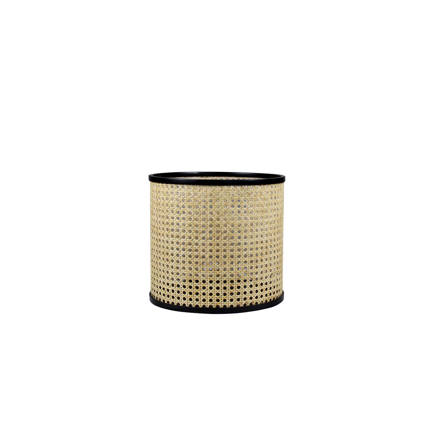 Ratargul Black Basket(Clearence)