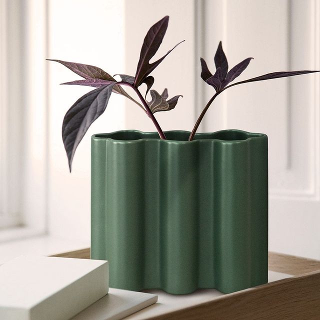 Florero Vase