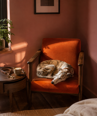 Williamsburg Dark Arm Chair